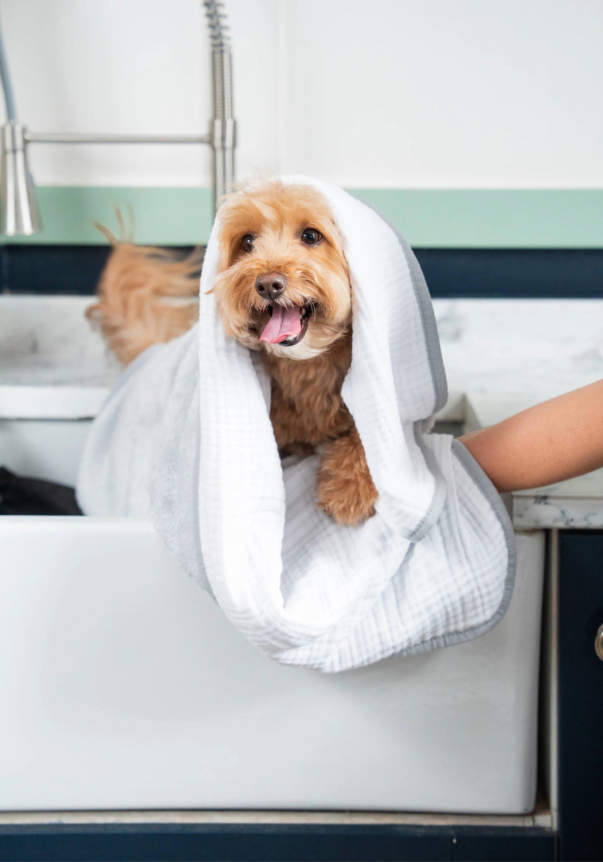 Lux Dog Towels - Love My Human