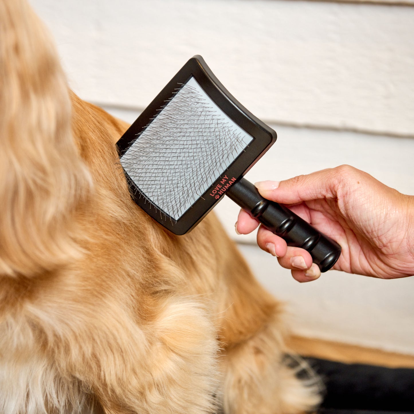 Universal Slicker Brush - Love My Human