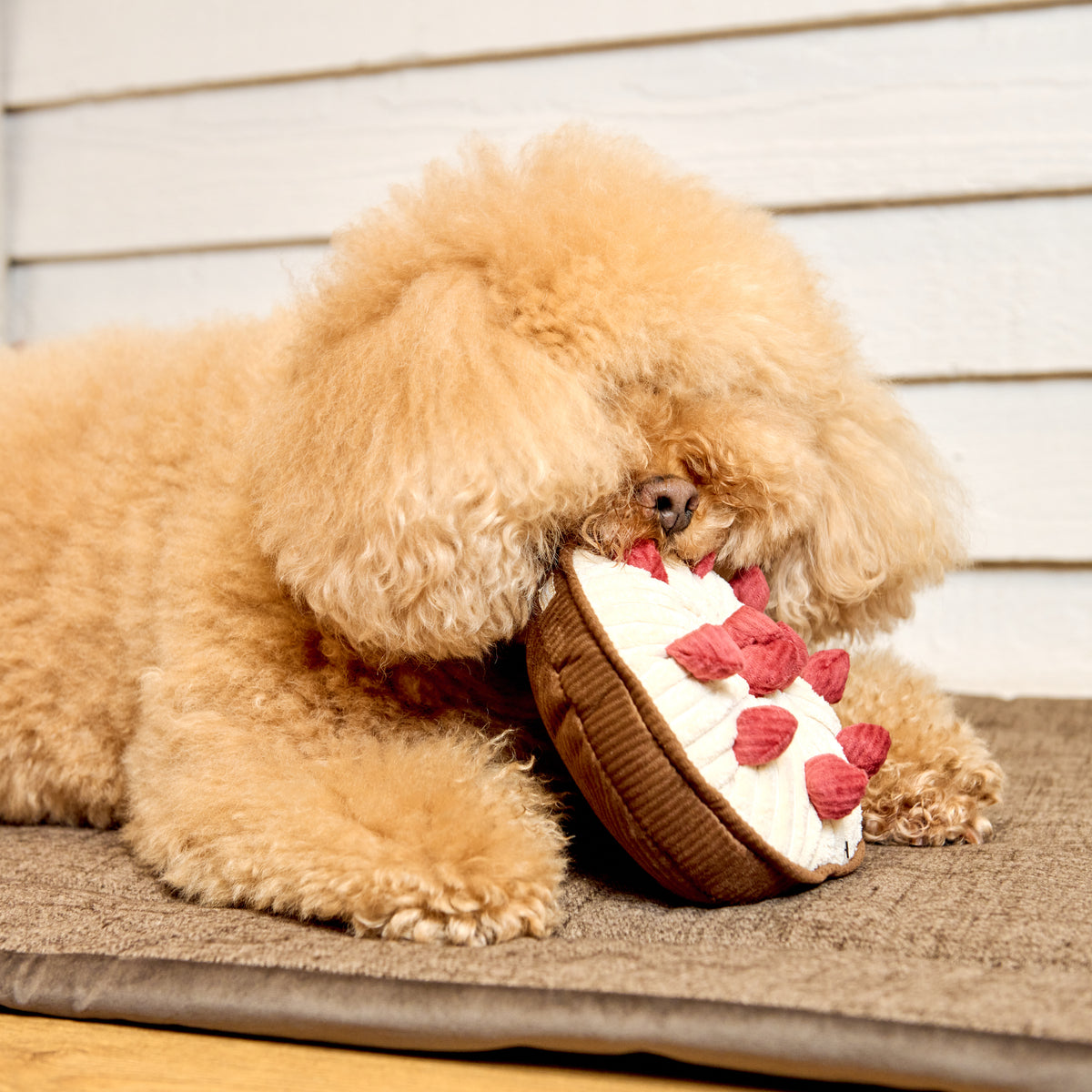 Berry Pie Enrichment Toy