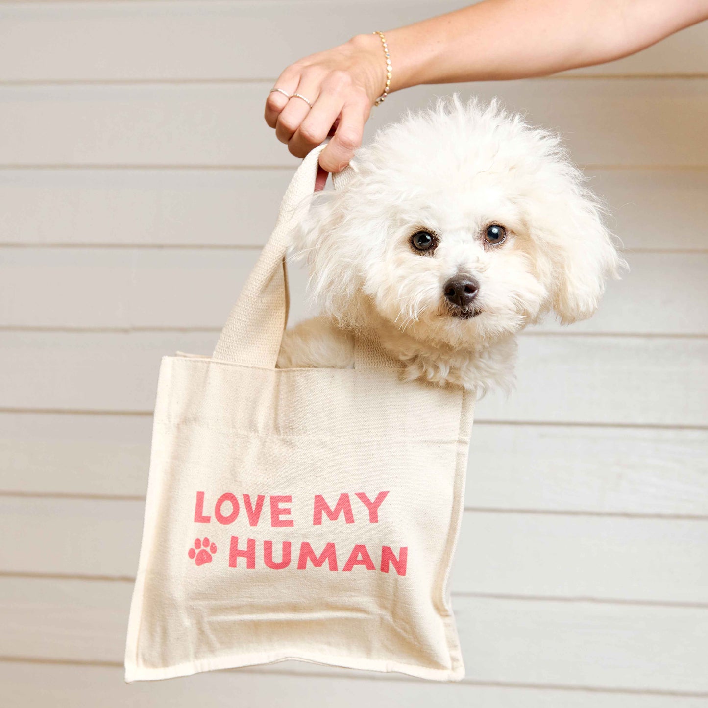 Tote Bag - Love My Human