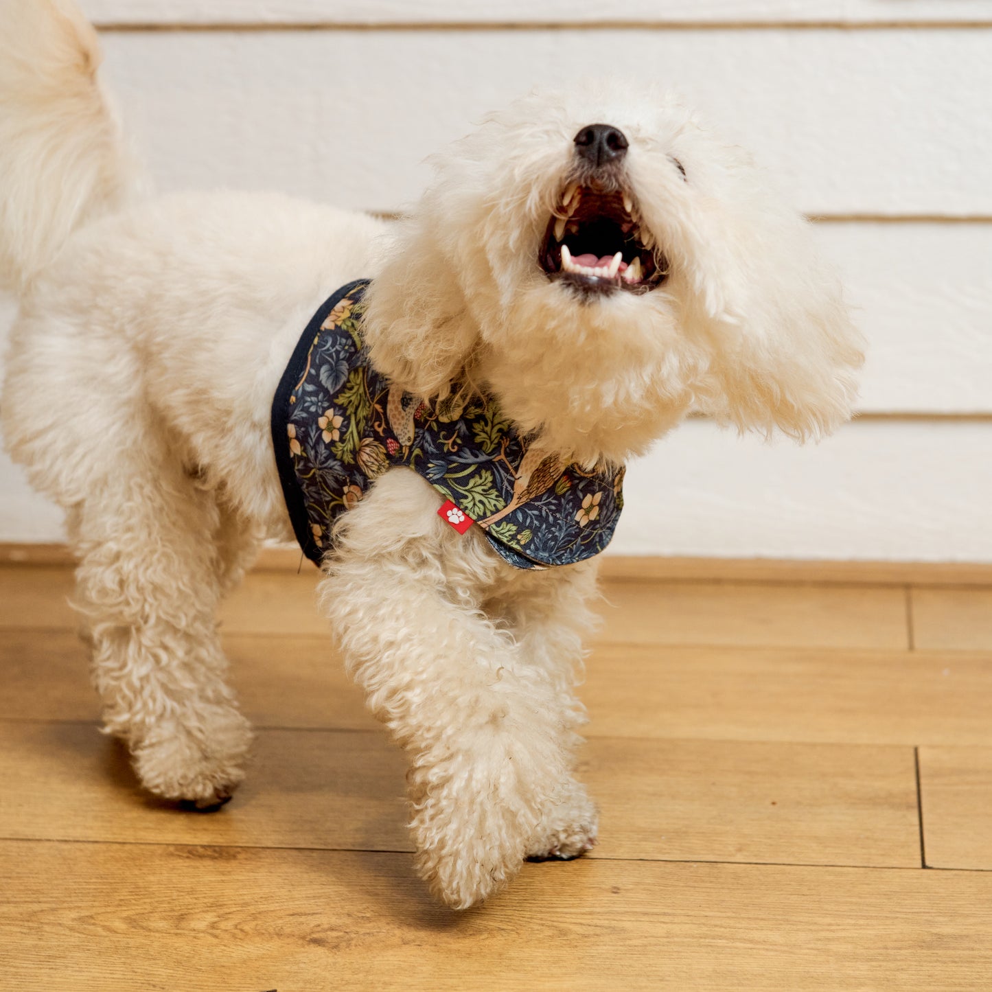 William Morris Harnesses