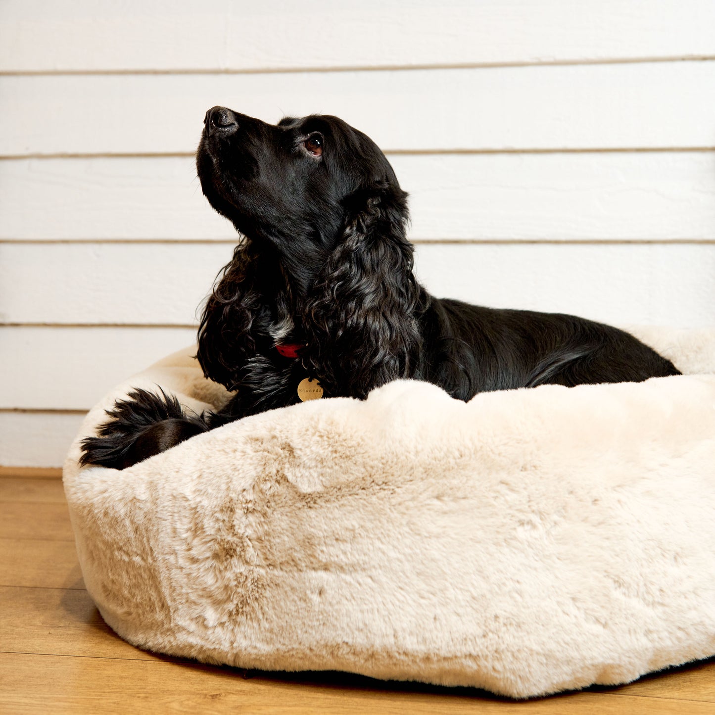 White Faux Fur Cushion Beds - Love My Human