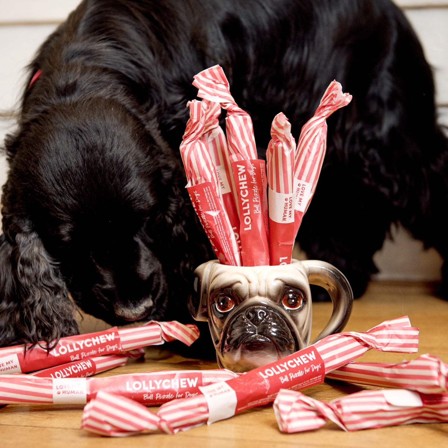 Lollychew - Love My Human