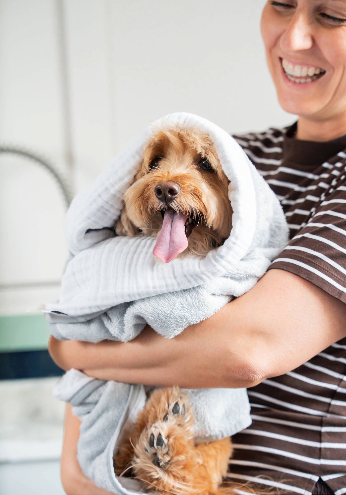 Lux Dog Towels - Love My Human