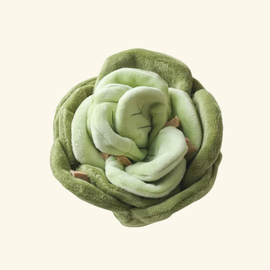 Snuffle Cabbage