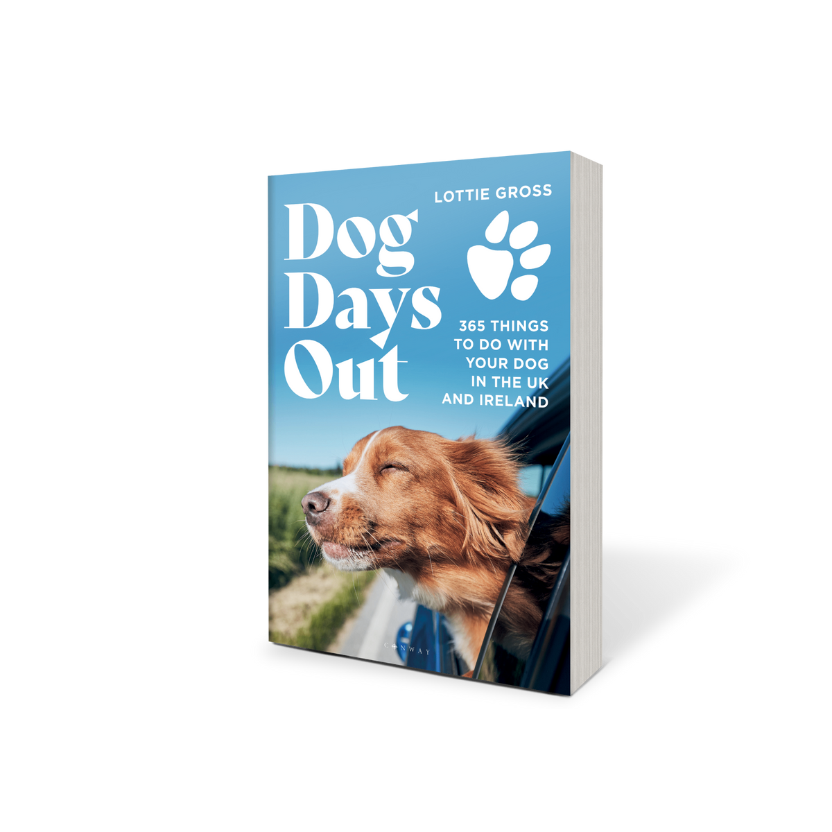 Dog Days Out