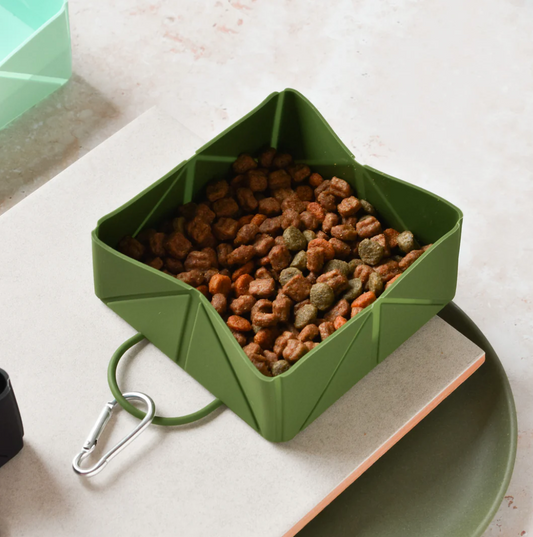 Green Foldable Travel Bowl