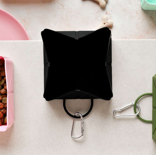 Black Foldable Travel Bowl