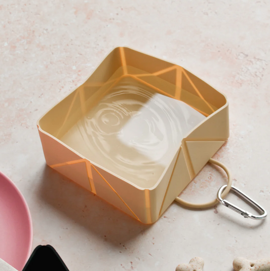 Latte Foldable Travel Bowl