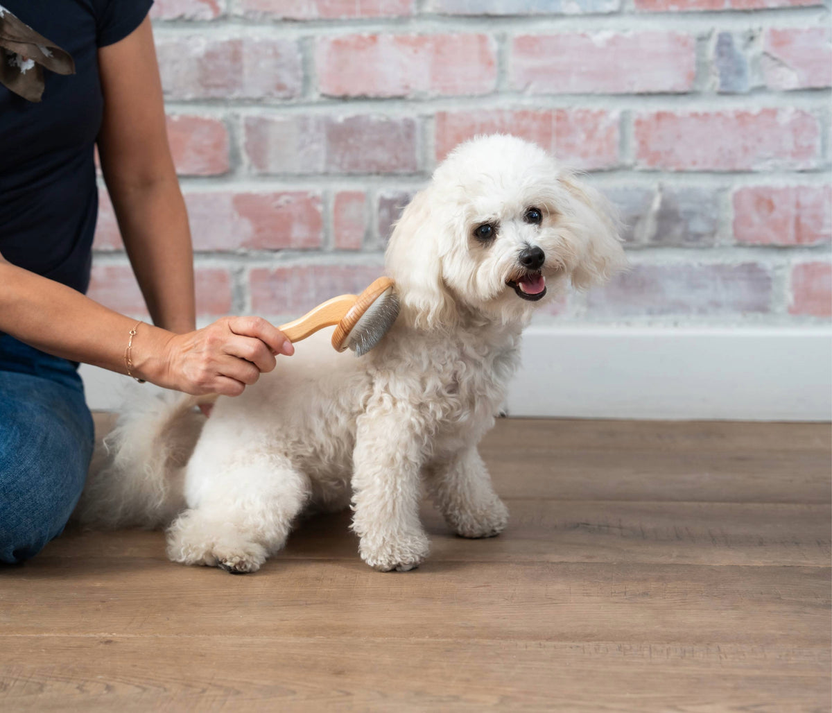 Rounded Wood Slicker Brush - Love My Human