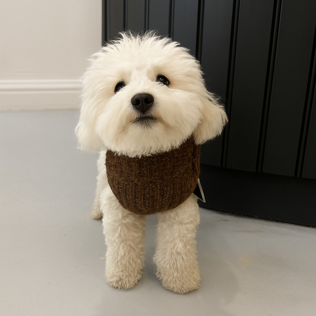 Cosy Boucle Sweater - Love My Human