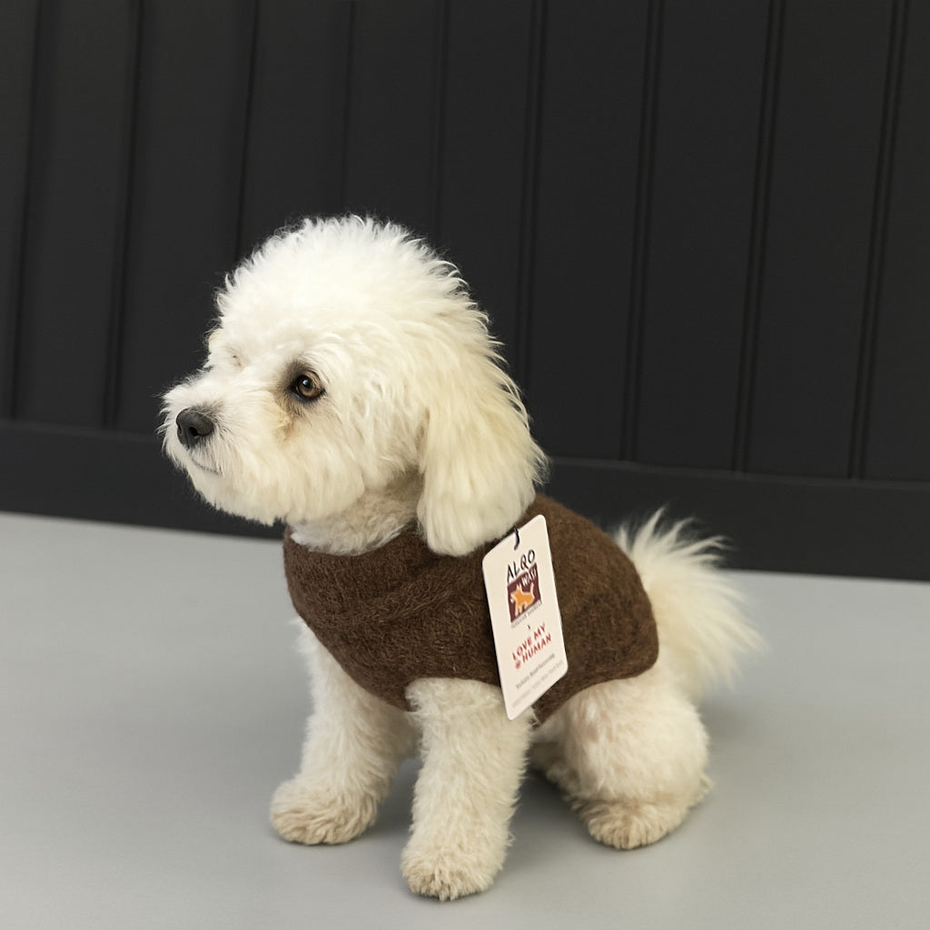 Cosy Boucle Sweater - Love My Human