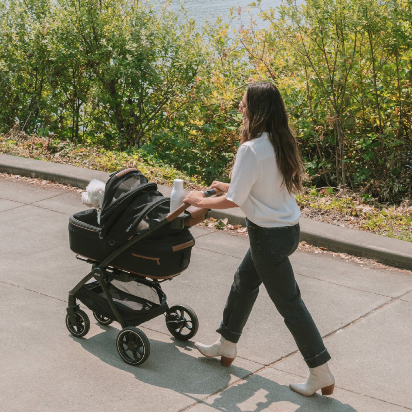 Roscoe Stroller Frame
