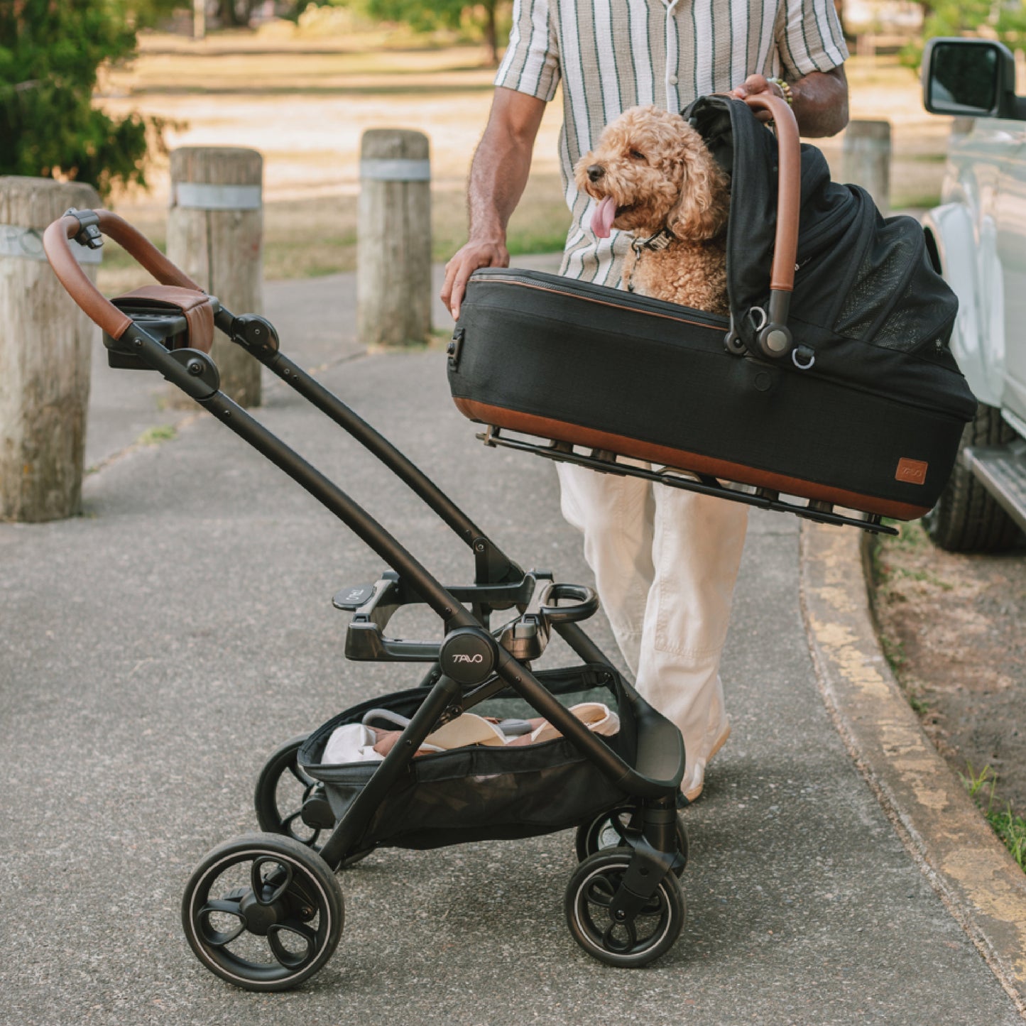 Roscoe Stroller Frame