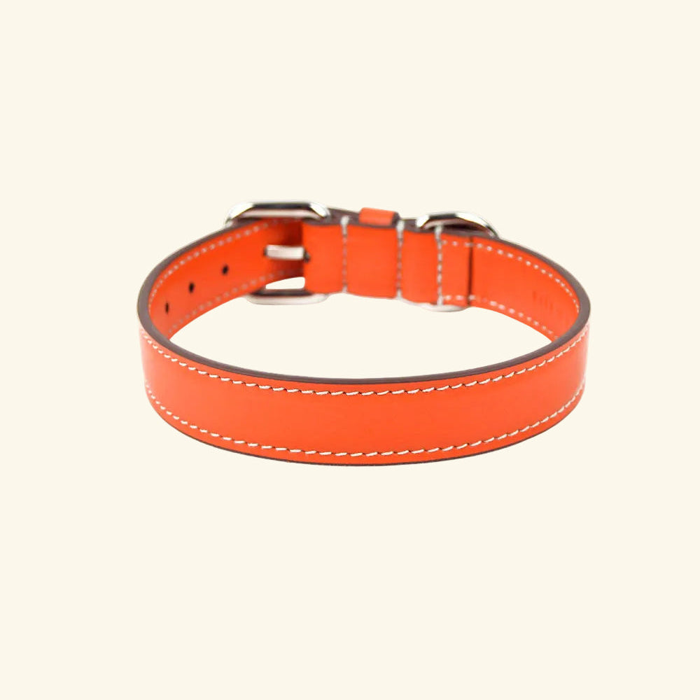 Carlotta Palermo - Leather Collar