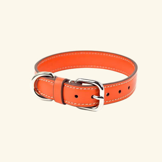 Carlotta Palermo - Leather Collar Orange