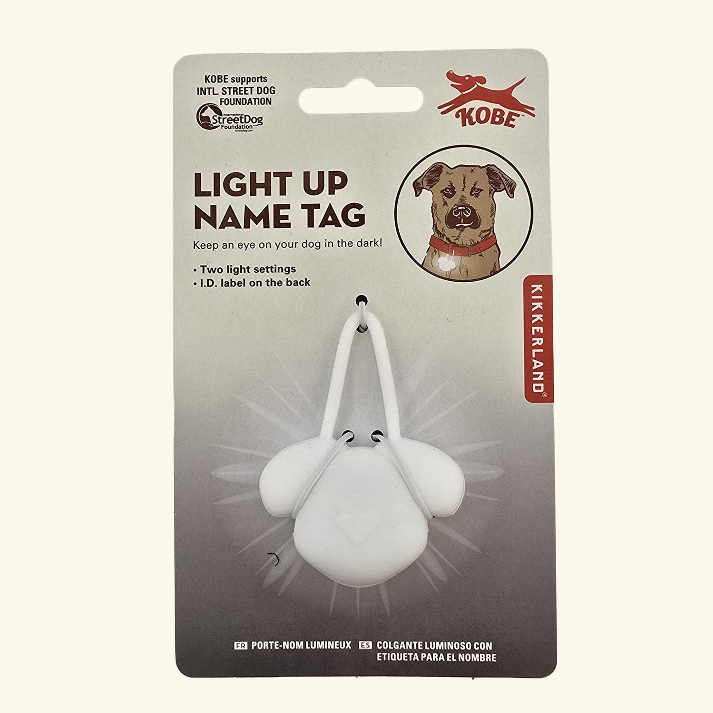 Light Up Name Tag