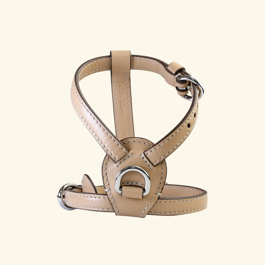 Carlotta Palermo - Cookie Nuvola Dog Harness