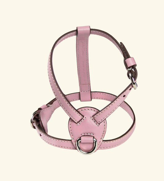Carlotta Palermo - Opal Nuvola Harness