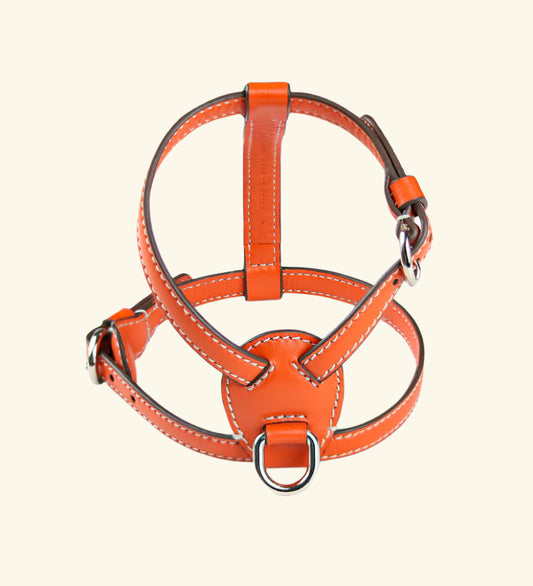 Carlotta Palermo - Orange Nuvola Harness