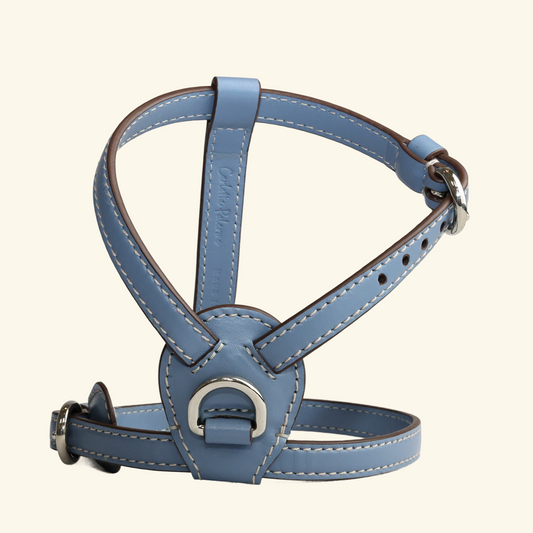 Carlotta Palermo - Sugar Blue Nuvola Dog Harness