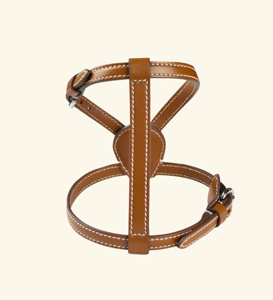 Carlotta Palermo - Tobacco Nuvola Harness