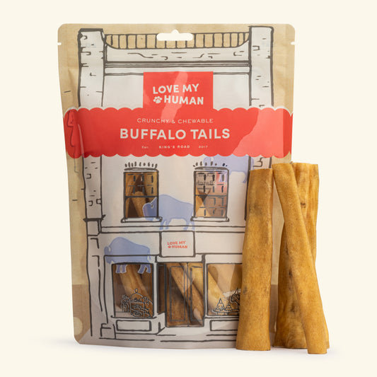 Buffalo Tails - Love My Human