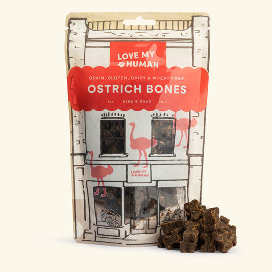 Ostrich Bones - Love My Human