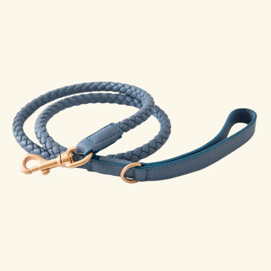 Blue Ferdinando Dog Lead