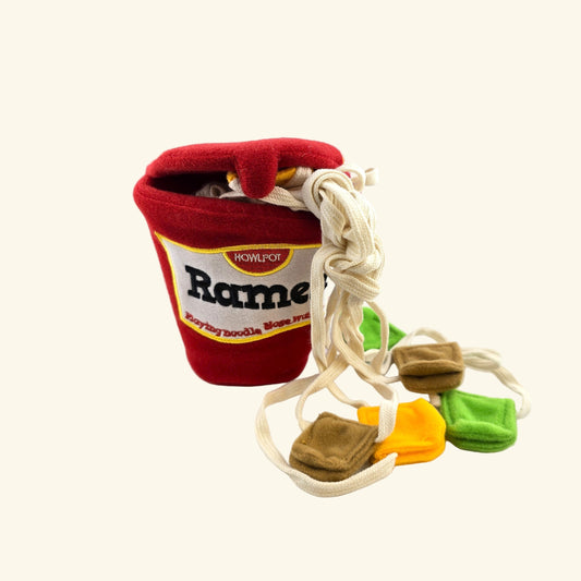 Ramen Noodle Toy