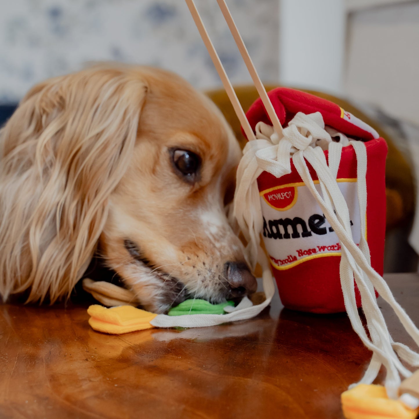 Ramen Noodle Toy