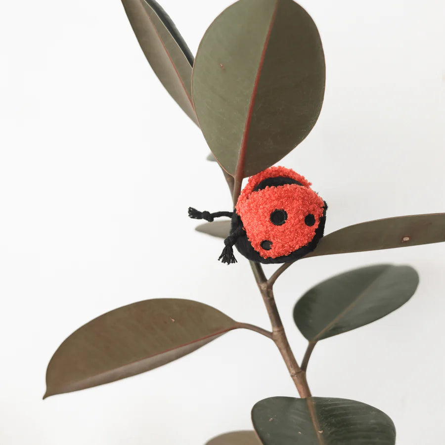 Ladybug Pop Toy