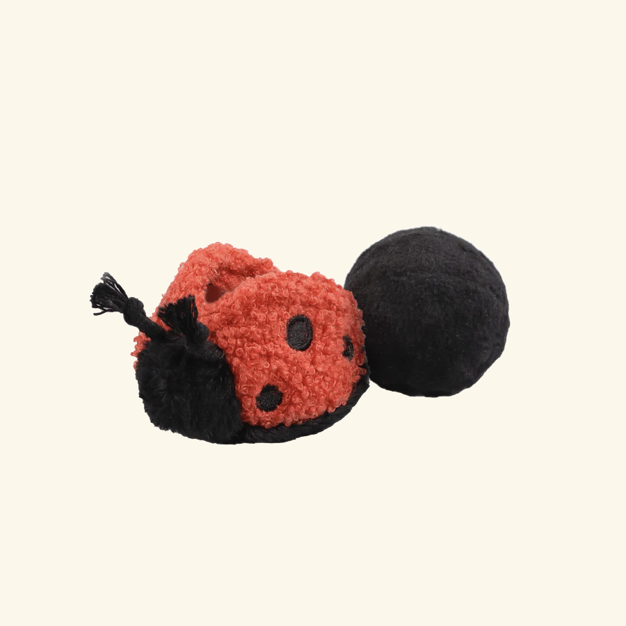 Ladybug Pop Toy