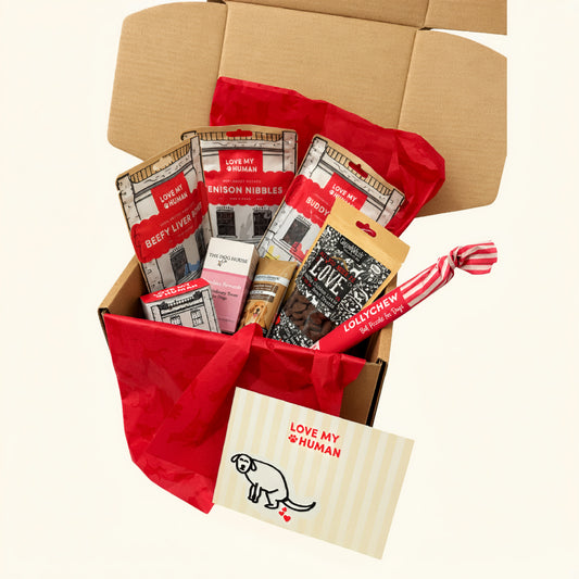 Premium Treat Bundle - Love My Human