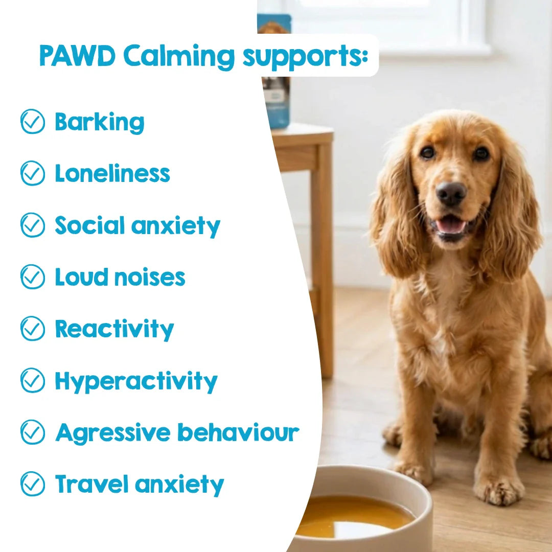 PAWD Calming Dog Drinks