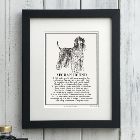 Doggerel Illustrated Poems A-J