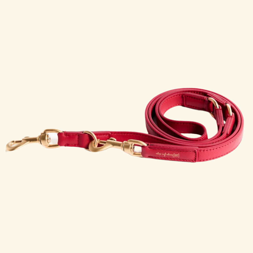 Red Mario Training Lead