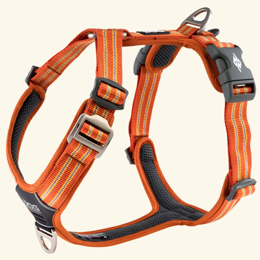 Comfort Walk Air Harness